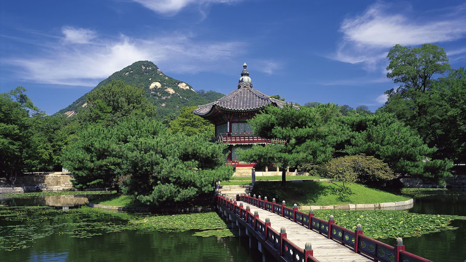 世界短道速滑科研训练模型应用示范基地再扩五所高校，国际短道速滑